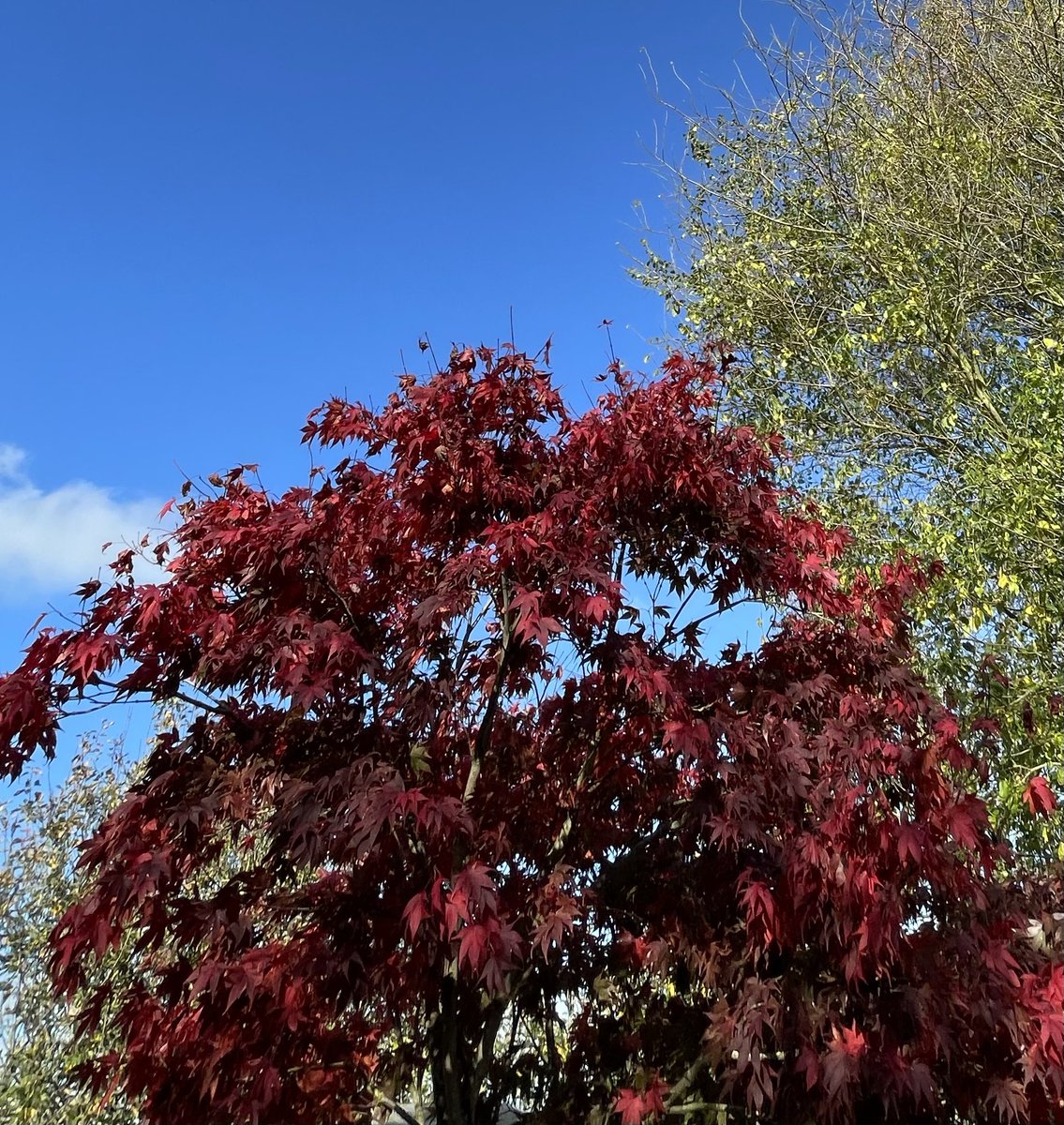 Barry Wright tweet media