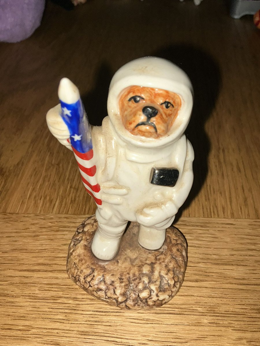 collectibulldog's tweet image. Here’s to @elonmusk @SpaceX @NASA UP UP AND AWAY. congratulations on firing your rockets into space NOT into peoples homes. Keep up the good work 

#ToInfinityAndBeyond #MentalHealthAwareness