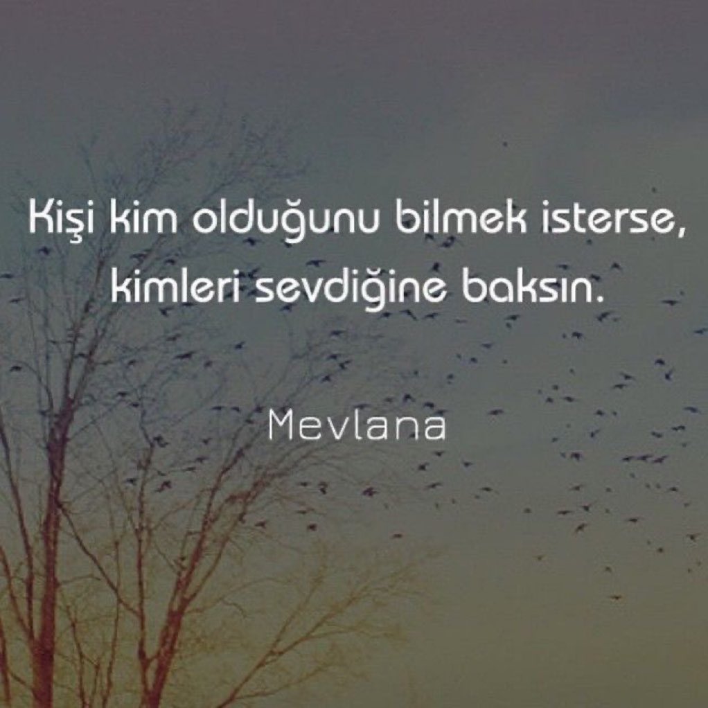 ayaserenat's tweet photo. https://t.co/DBdmsnD1Dc