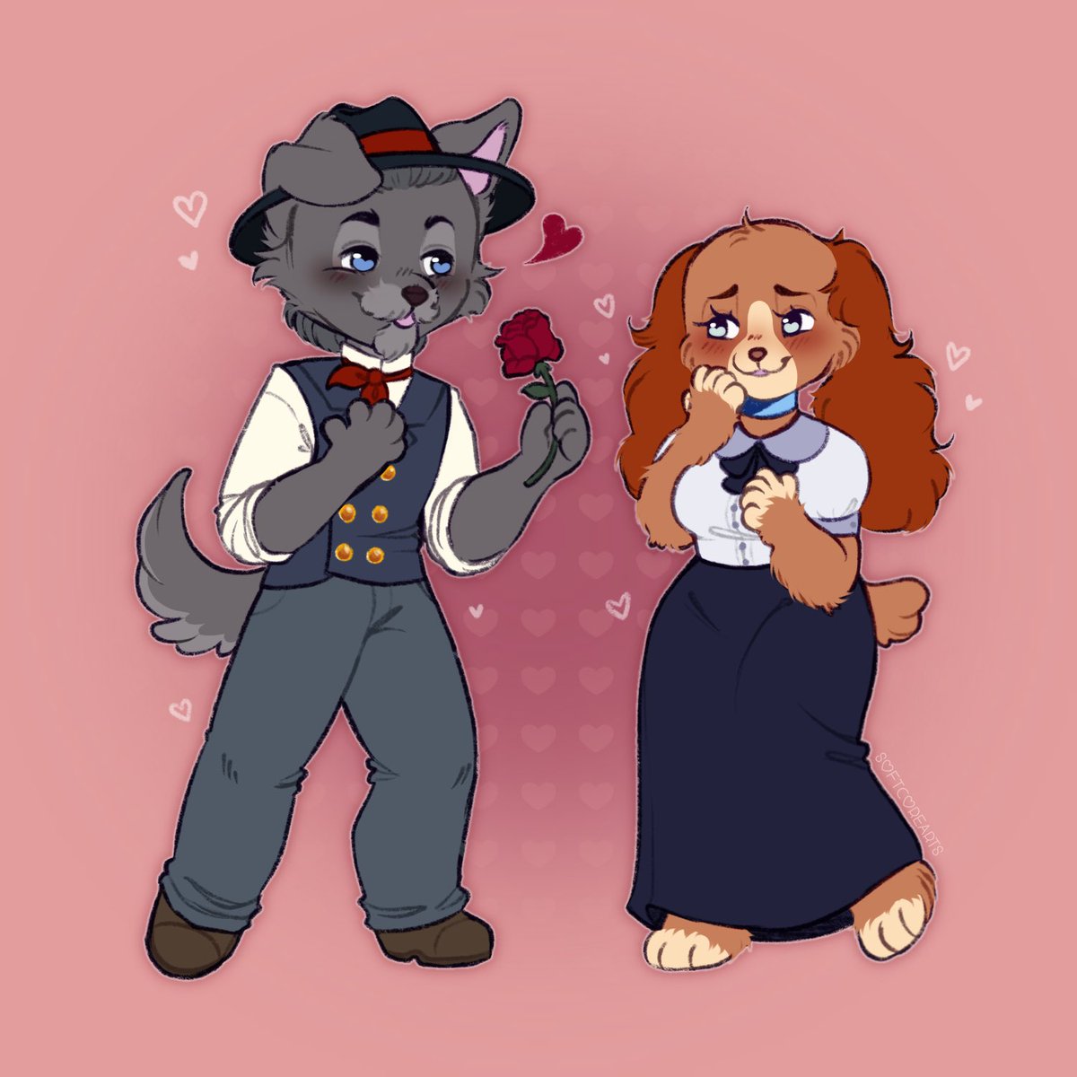 โจ๐ฐ๐๐๐๐๐ ๐บ๐ต ๐ถ๐๐๐๐๐โจ tweet media