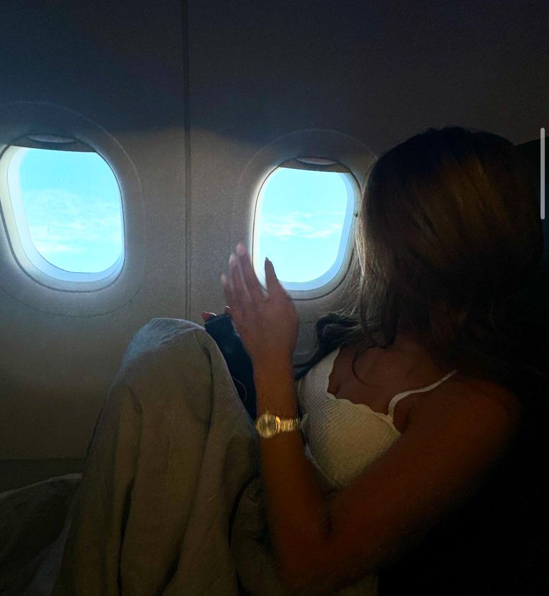 haley tweet media