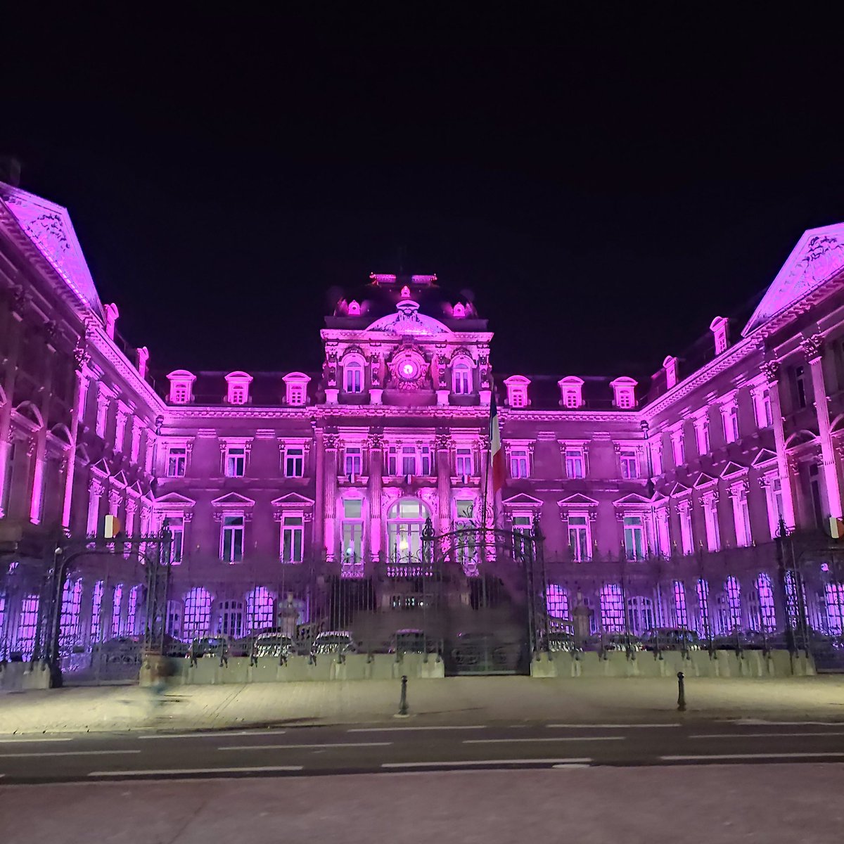 steph_bocquet's tweet image. Les derniers jours d' #OctobreRose #Lille #Préfecture #PalaisDesBeauxArts