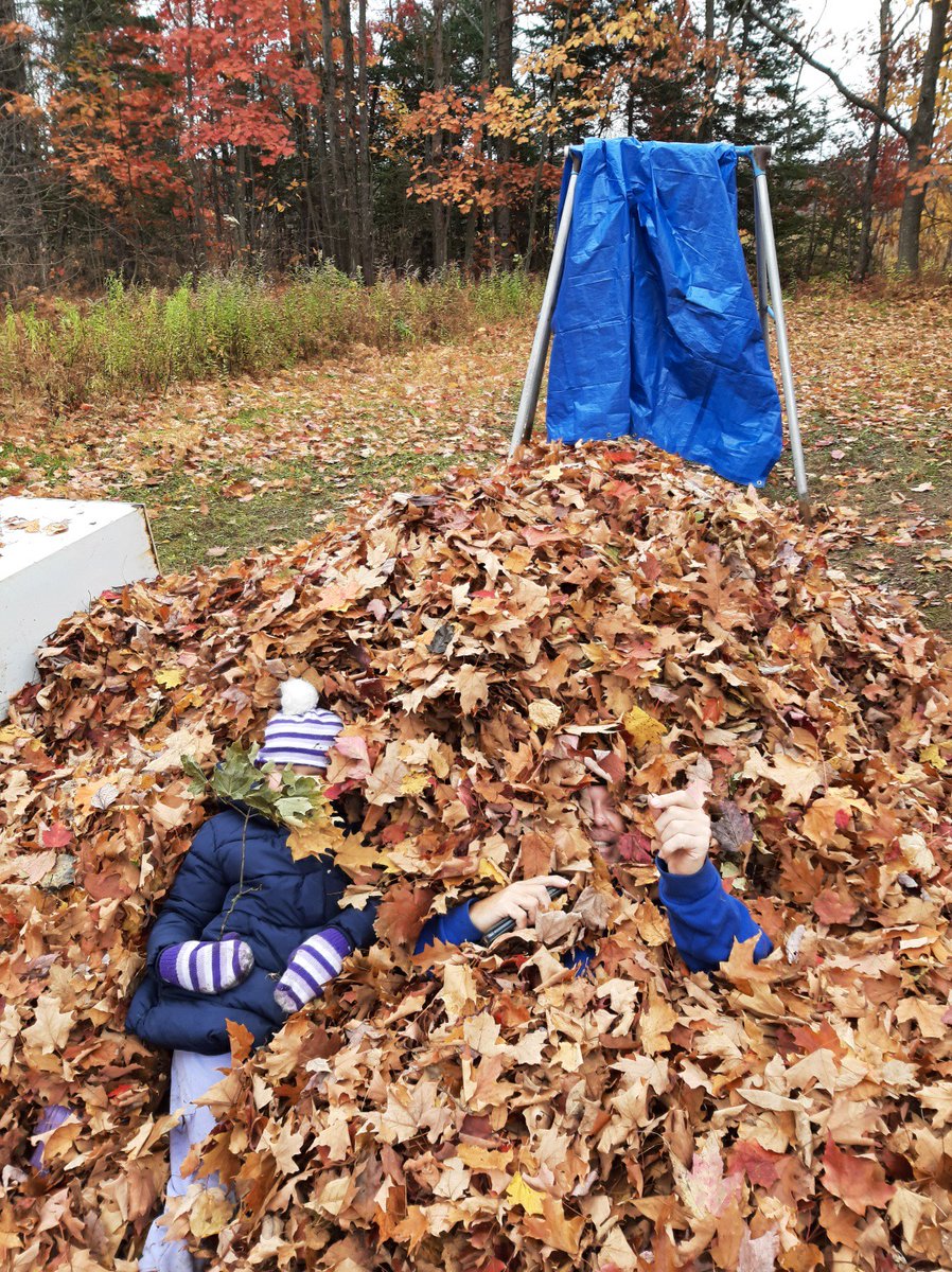 VetCanuck's tweet image. Leaf pile fun 😊 

#sundayvibes 

#zio 

#leafpile 🙄😳☺️
