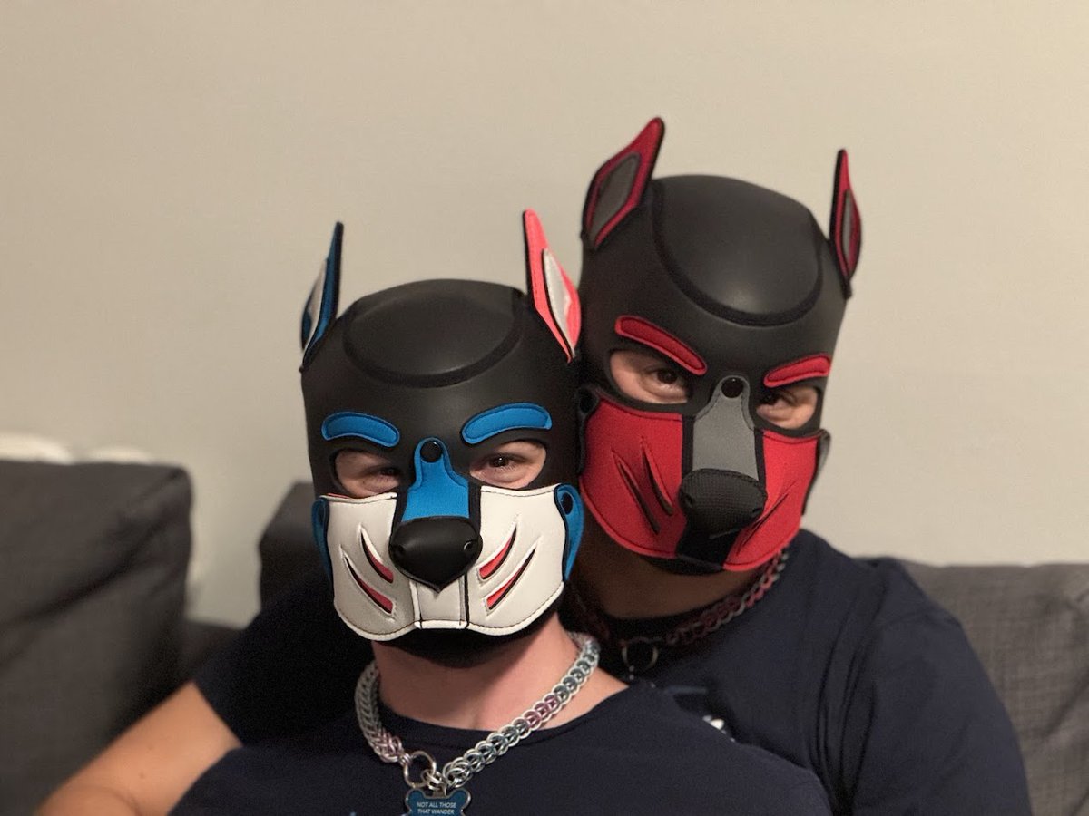 Timber Fangs tweet media