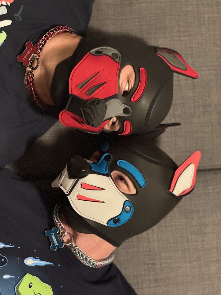 Timber Fangs tweet media