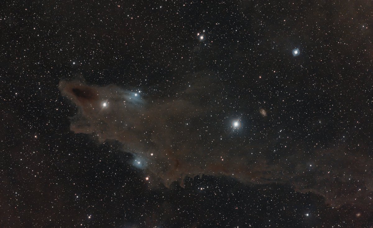 Bernd Flachsbart tweet media