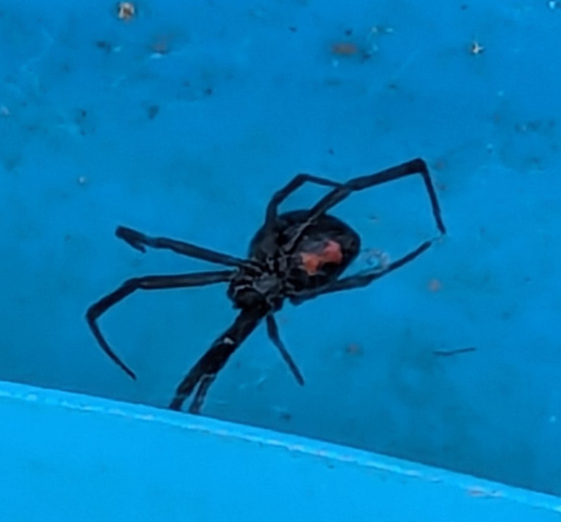 James Gallagher | Copy Editor tweet media