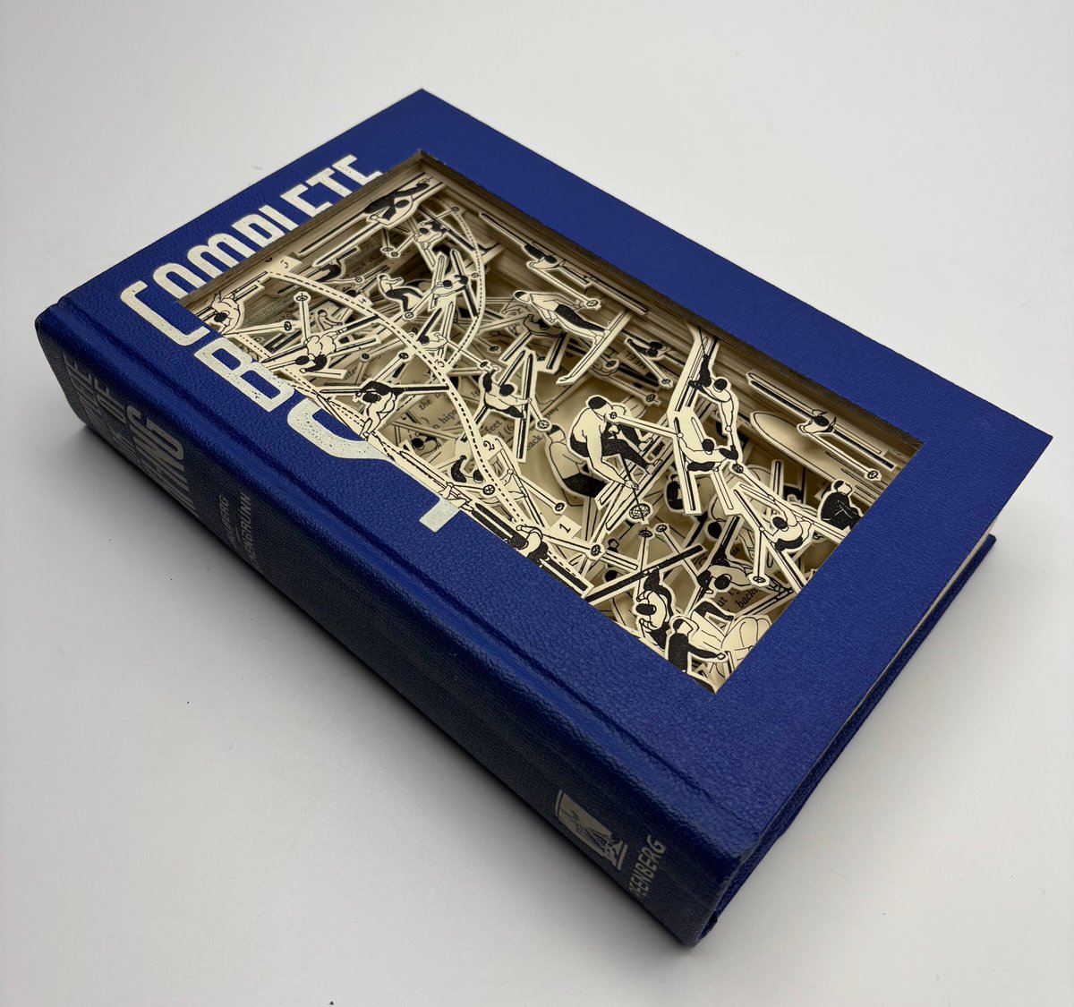 Julia Strand tweet media