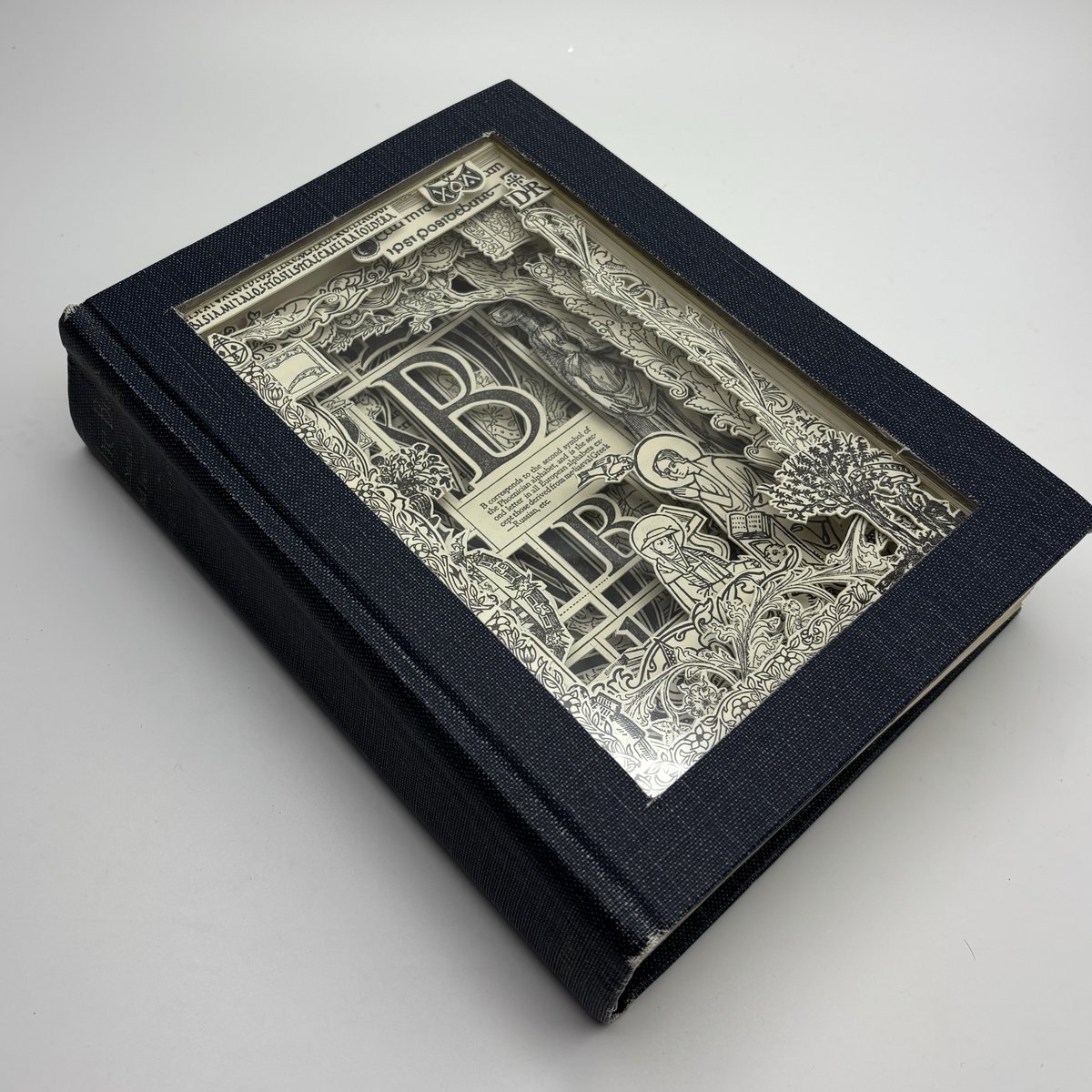 Julia Strand tweet media