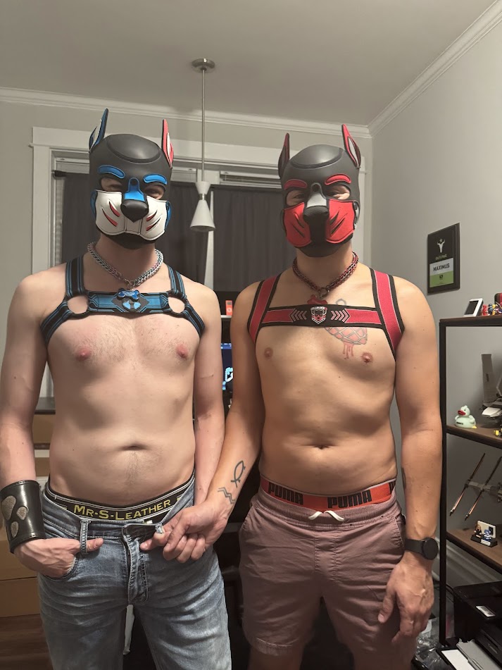 Timber Fangs tweet media