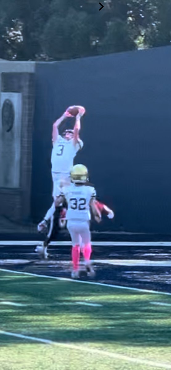 Brandy meinhardt tweet media