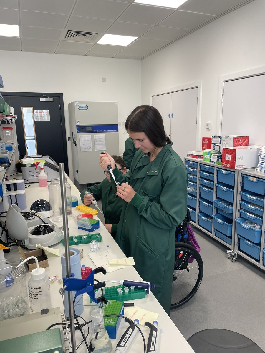 #PhD research into #sepsis by <a href="/morgangraingerx/">Morgan Grainger</a> <a href="/UniNorthants/">UniofNorthampton</a> <a href="/PALSUON/">PALS@UON</a> #macrophage #Science #strongagainstsepsis <a href="/stopsepsisnow/">Sepsis Research (FEAT)</a> #molecularbiology