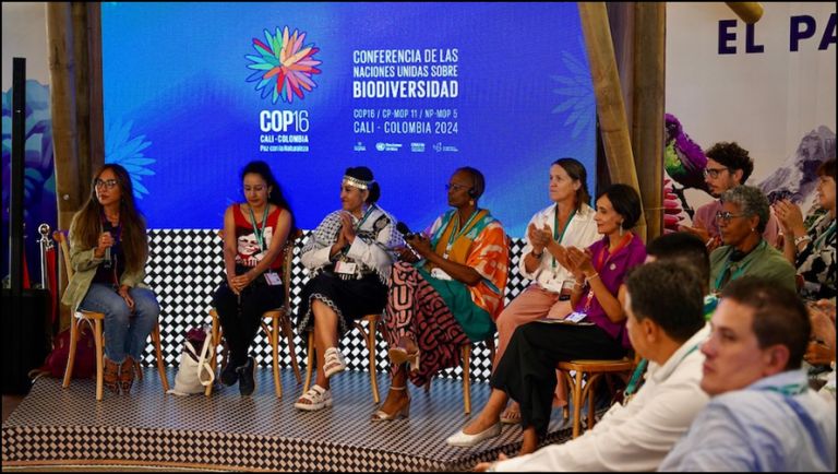 AbyaYalaSoberan's tweet photo. COP16: crisis de biodiversidad, negacionistas climáticos y extractivismos progresistas https://t.co/PggfWpi0vV @CODECAGT @CodecaGuatemala @PodcastCodeca https://t.co/wD52lVkgEm
