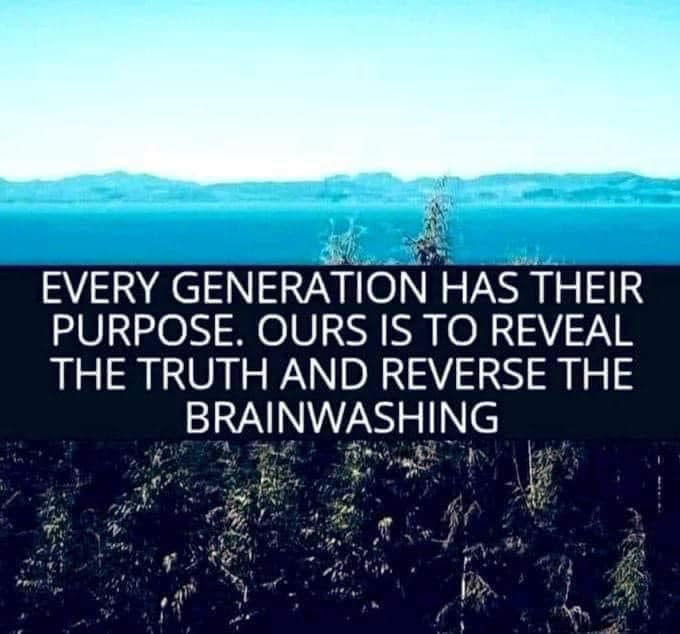 Spirit of Freedom (@new_world_vibe) on Twitter photo 