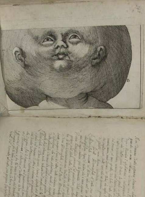 What is this? Have a look in our catalogue for the Boston book fair …inbergerrarebooks.cdn.bibliopolis.com/images/upload/…