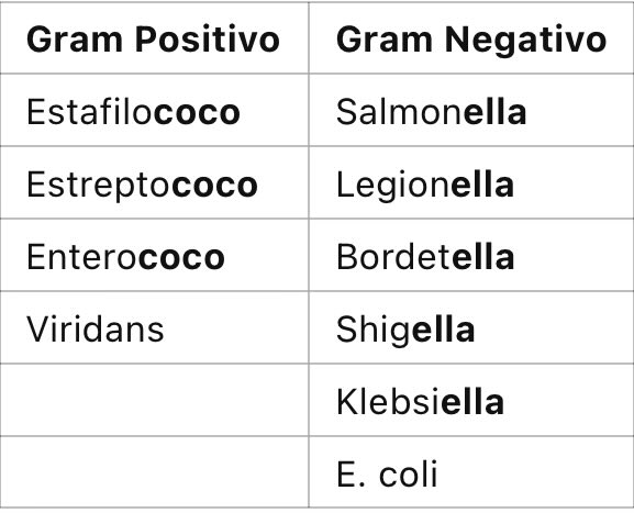 farmacotips's tweet photo. Recuerda: 

- Los Gram Positivos son hombres.

- los Gram Negativos son mujeres. https://t.co/9b6PYlAJIg