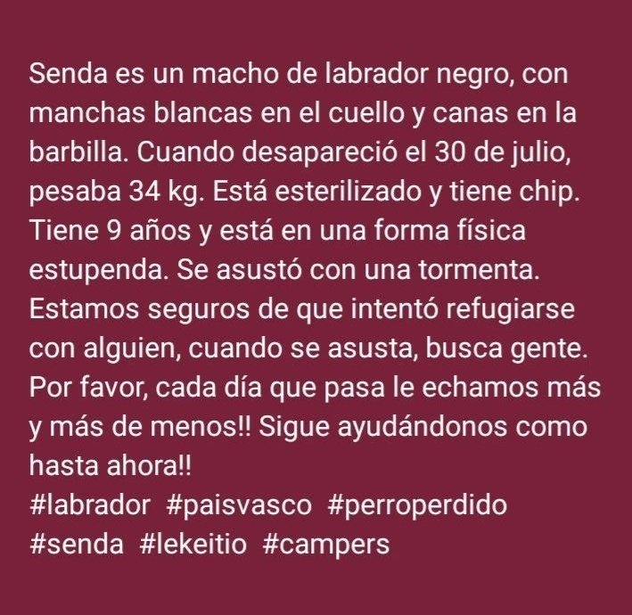 Drezella_966192's tweet photo. Twitter haz tu magia 
Compartir porfa 🙏🏽
Senda, es un labrador perdido en el país Vasco 
Sus papás están desesperados 
Casper 🐾🐾
os puede que deis  retwitt 
Y la Loba también 
🙏🏽
#CosasDeLaLoba 🐺 https://t.co/HQpaCC28Mf