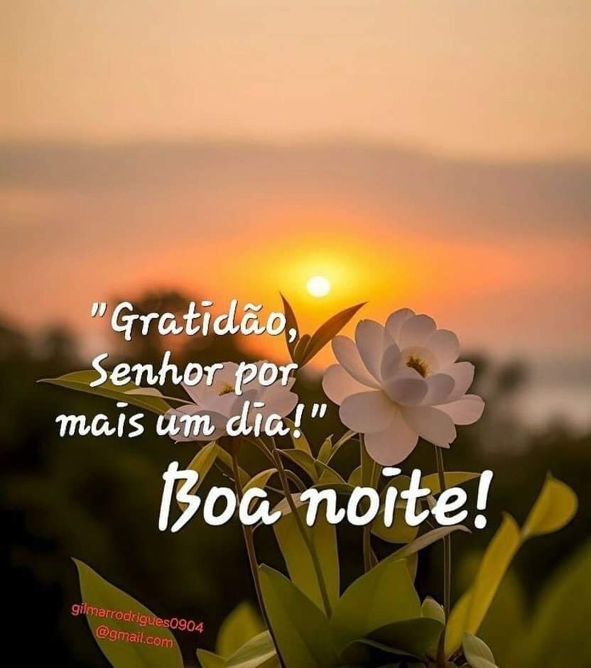 Deus te ouve Quando o teu Silêncio Soa  Mais Alto  Que O Teu Grito
Ele pode estar em Silêncio, Mas Jamais Estará Ausente