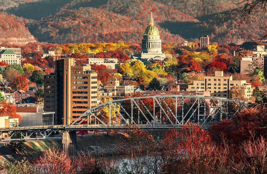 AppalachiaAesth's tweet photo. https://t.co/aPpXpPAY5j