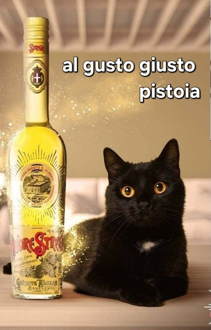 algustogiusto's tweet photo. #tartufi
@strega https://t.co/K1nbvNJwbd