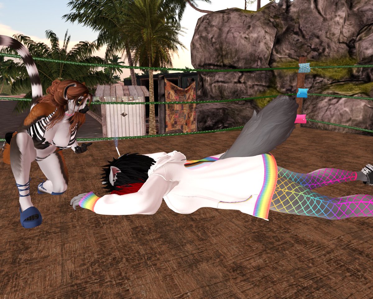 DaKonossos tweet media