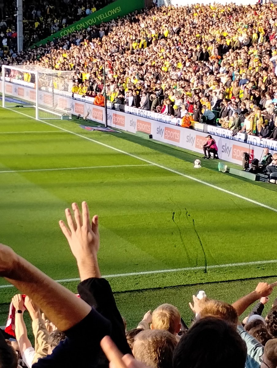 Dan Fordyce tweet media