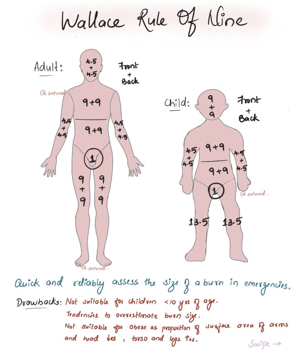 Adult Male Body Surface Area