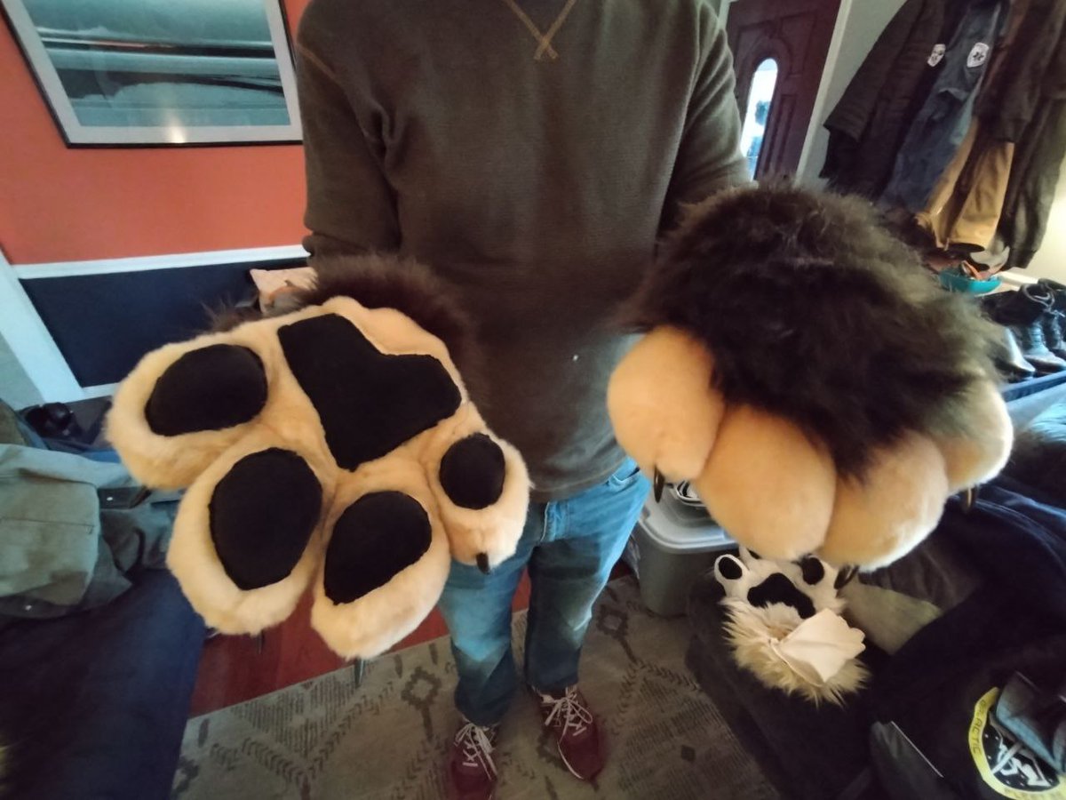 Habs Shepherd 🇺🇸🏳️‍🌈 tweet media