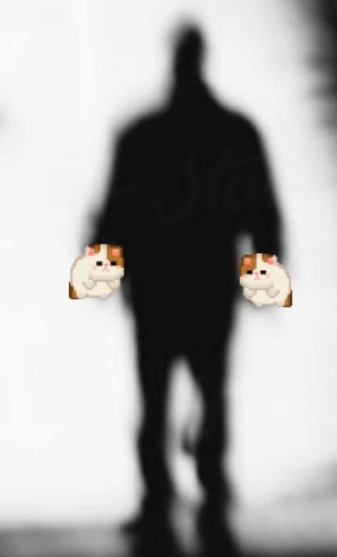 sir_dagachi's tweet photo. @_Shadow36 Be your own cabal be your own shadow flip everything
The Cat flips in my wallet
#Flipcat
9vUhtbtDkt7zGNs3eQQLCDZiPkdUtW2C9YxV55Scpump https://t.co/J2mmmQg5xe