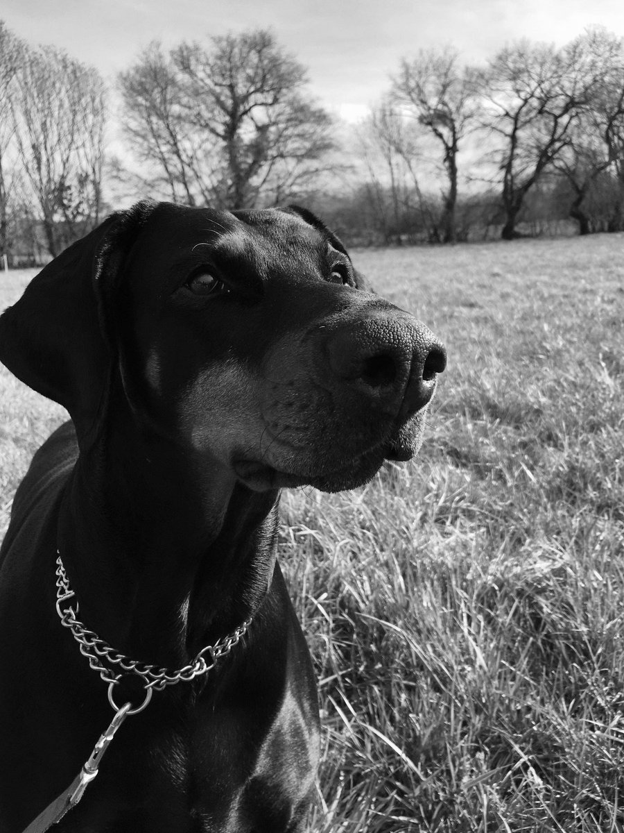 Dizzy Recymech tweet media