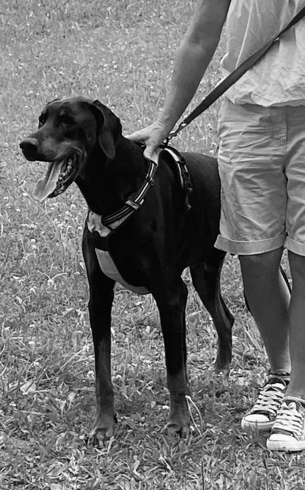 Dizzy Recymech tweet media