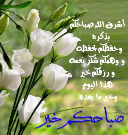 مسعود خليل (@kmt358i) on Twitter photo 