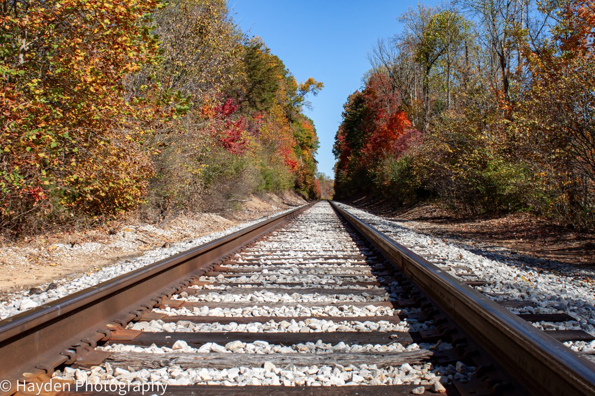 HaydenPhoto73's tweet photo. Fall colors down the railroad tracks. Taken in Solsberry IN 10/27/2024. #landscape #landscapephotography #fallcolors2024 #fallcolors #fallphoto https://t.co/TL1NQdn9l0