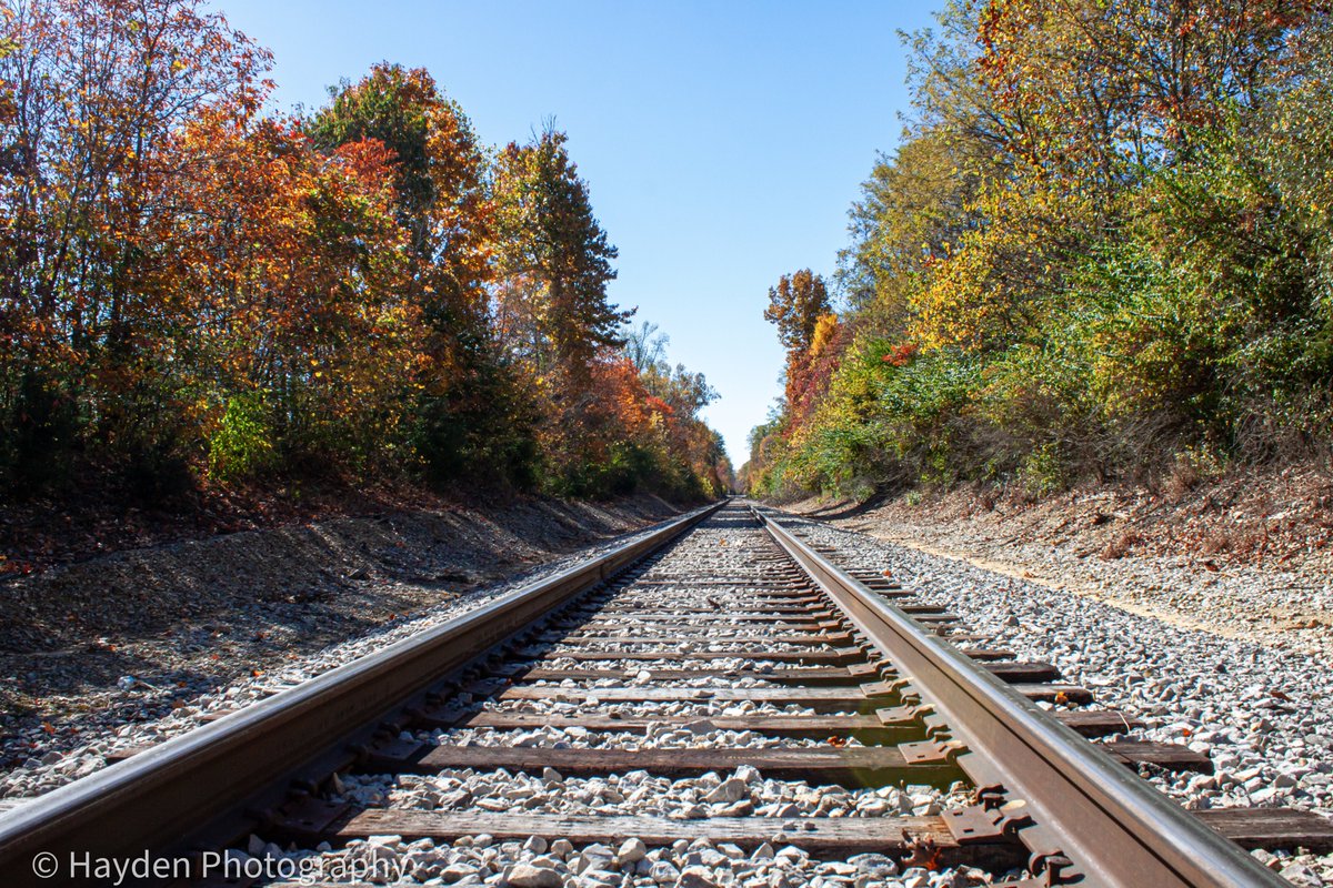 HaydenPhoto73's tweet photo. Fall colors down the railroad tracks. Taken in Solsberry IN 10/27/2024. #landscape #landscapephotography #fallcolors2024 #fallcolors #fallphoto https://t.co/TL1NQdn9l0