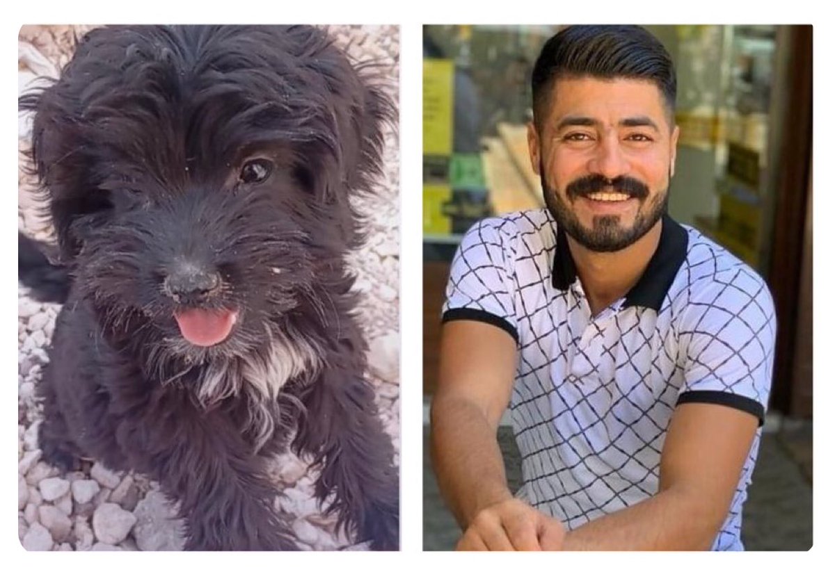 Urfa’da neşe içinde kardeşleri ile oynayan yavru köpeği kaldırım taşı ile ezerek öldüren cani tutuklansın!
Hüseyin Efe tutuklansın !

#HüseyinEfeTutuklansın

<a href="/EmniyetGM/">Türk Polis Teşkilatı</a> <a href="/TC_icisleri/">T.C. İçişleri Bakanlığı</a> <a href="/AliYerlikaya/">Ali Yerlikaya</a> <a href="/UrfaValiligi/">T.C. ŞANLIURFA VALİLİĞİ</a> <a href="/SanliurfaEmnMd/">Şanlıurfa Emniyet Müdürlüğü</a>
<a href="/AYMBASKANLIGI/">Anayasa Mahkemesi</a>