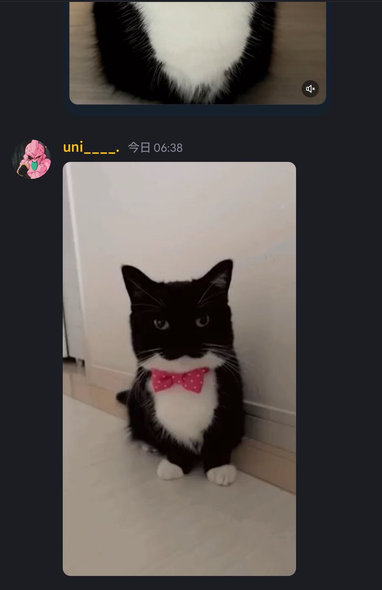 モーゲン※男です tweet media