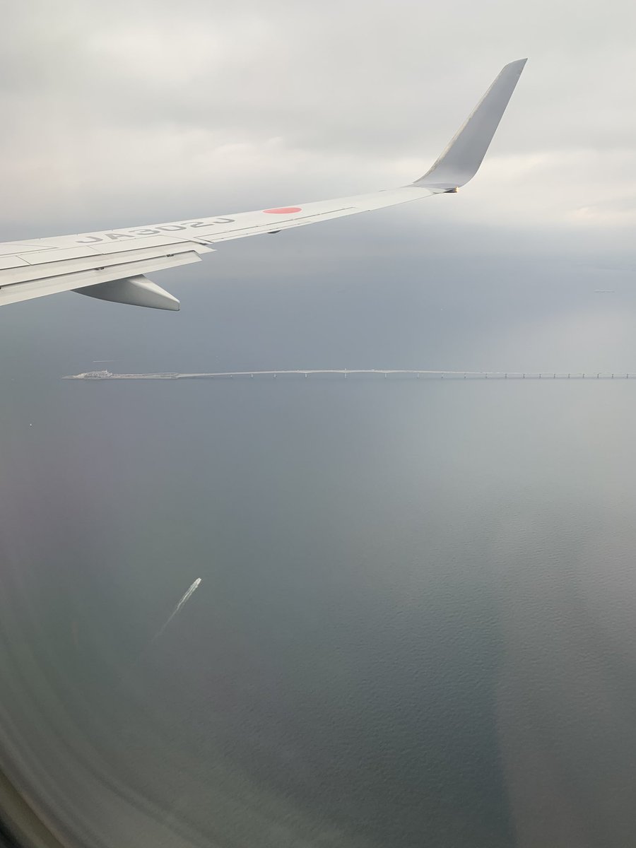 おはようございます❗️

昨日の釣果はタチウオのみ🐟🐟

なかなか良い日に巡り合いません😅

※空から見る東京湾アクアライン
サワラポイント✈️