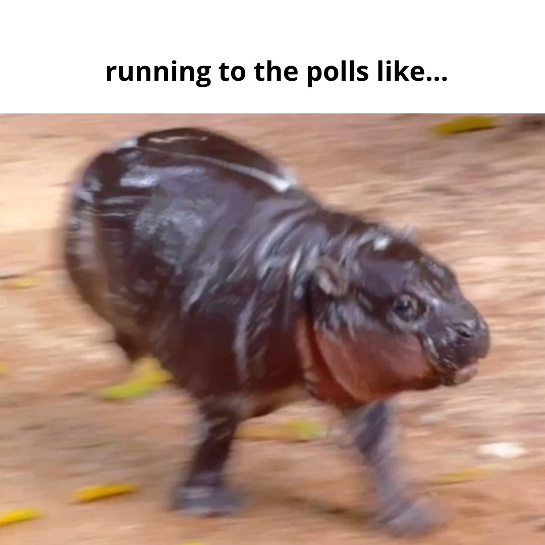 host_bug's tweet photo. The sprint to Election Day is on – make sure you’re vote-ready! 🏃‍♂️🗳️ #michigan #movementmichigan #voteready #gotv #empowergotv #moodeng  https://t.co/cHDUXeWQ2g https://t.co/3qcf8Cy5fL