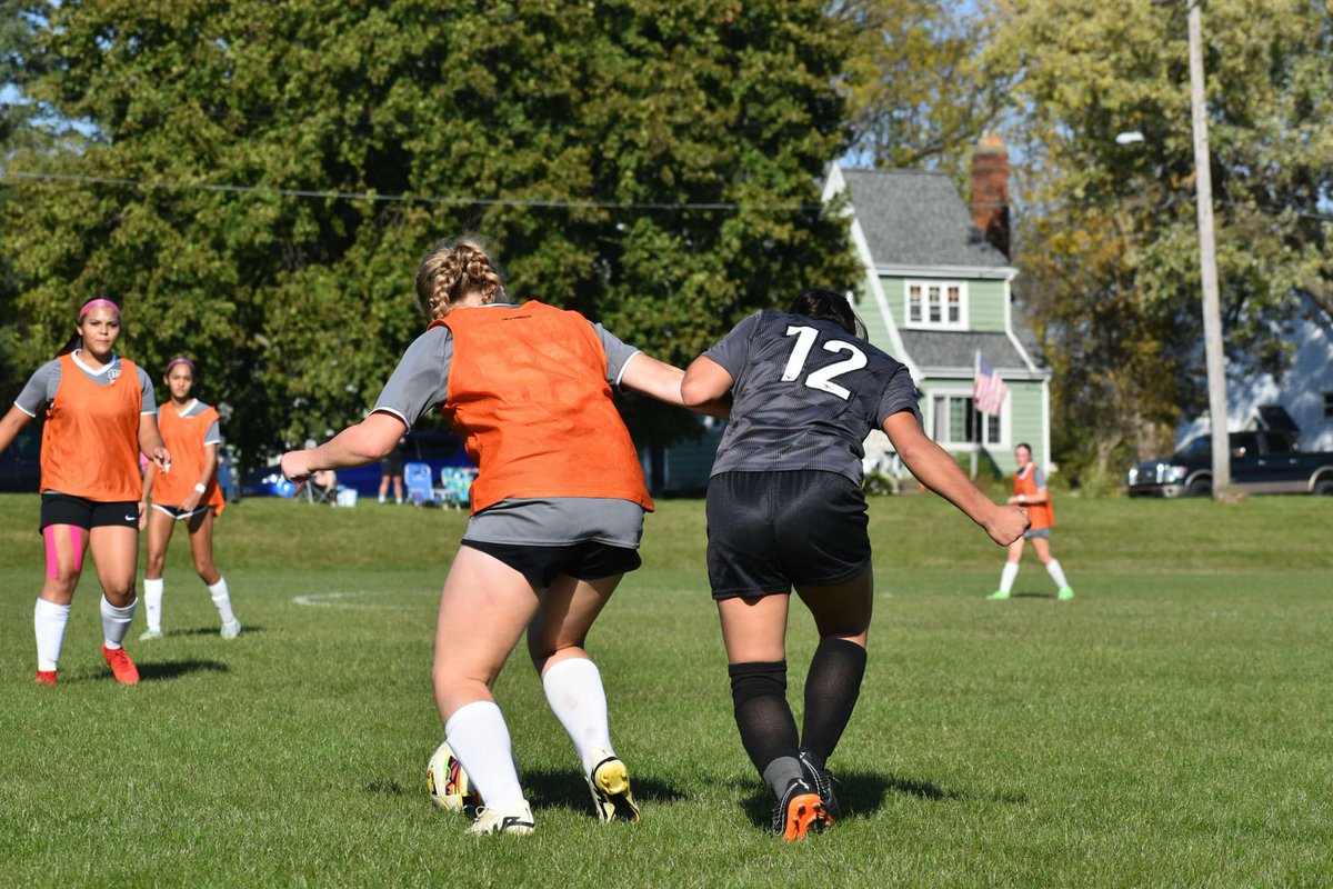 Chelsee Shafer tweet media