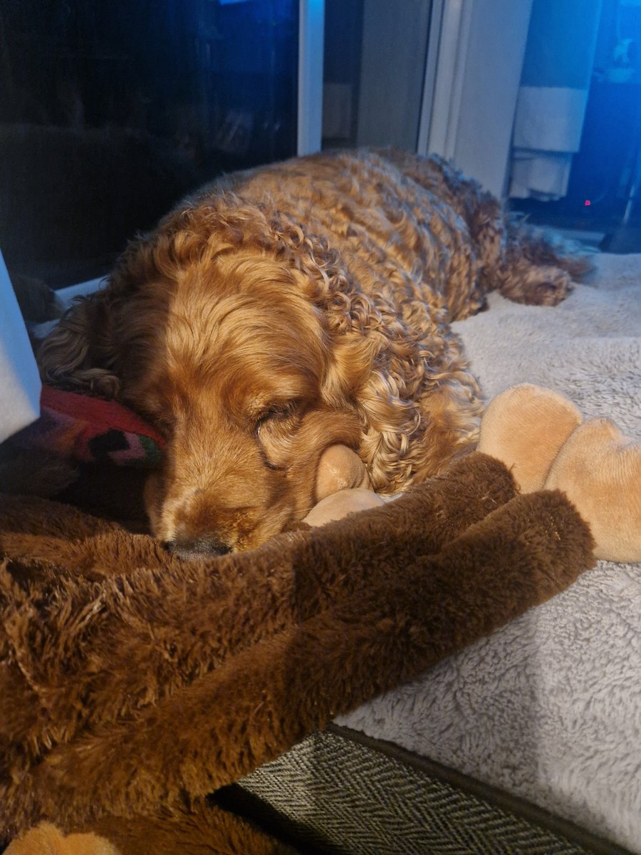 Milly - Golden Bloom Gal tweet media