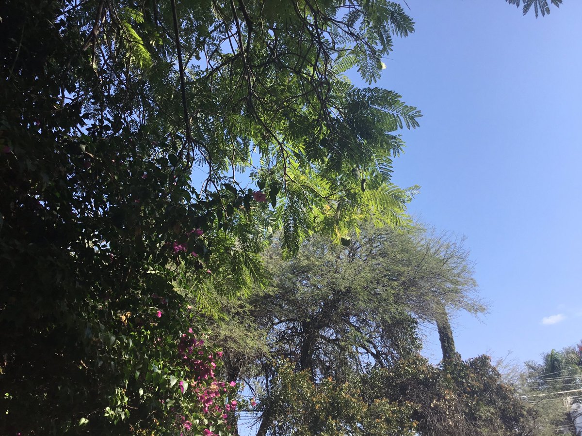 FGLmar's tweet image. Desde mi silla