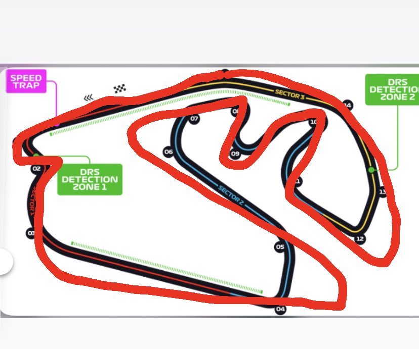 Verstappen’s racing line for Interlagos 
[LEAKED]