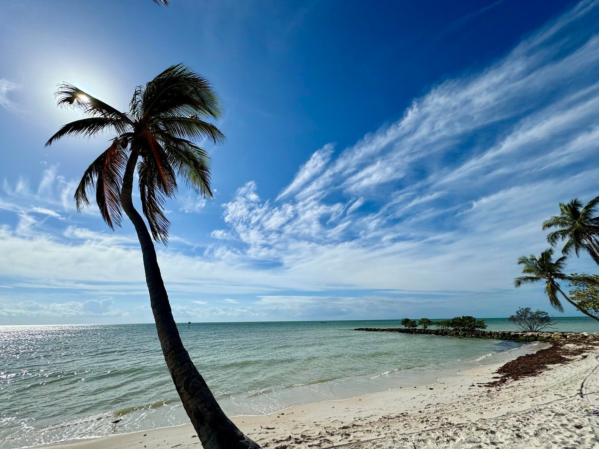PartyInKeyWest's tweet image. The last few breaths of freedom on a #Sunday. #keywest #goodbyeweekend 📷 #roselanevillas

More: PartyinKeyWest.com/wp/
Follow us: @PartyInKeyWest
Hashtag us: #PartyInKeyWest