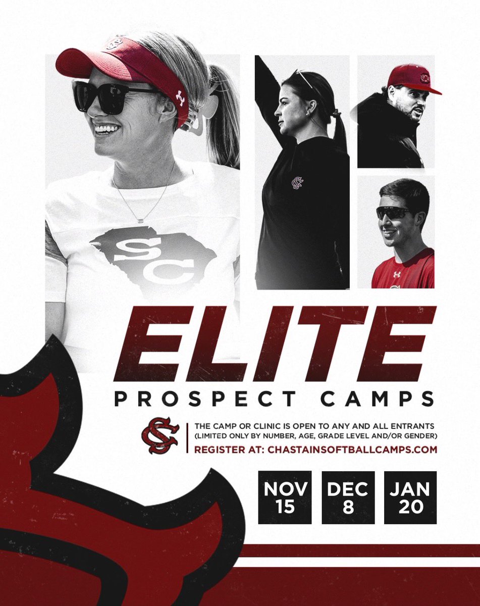 Chastain Softball Camps tweet media