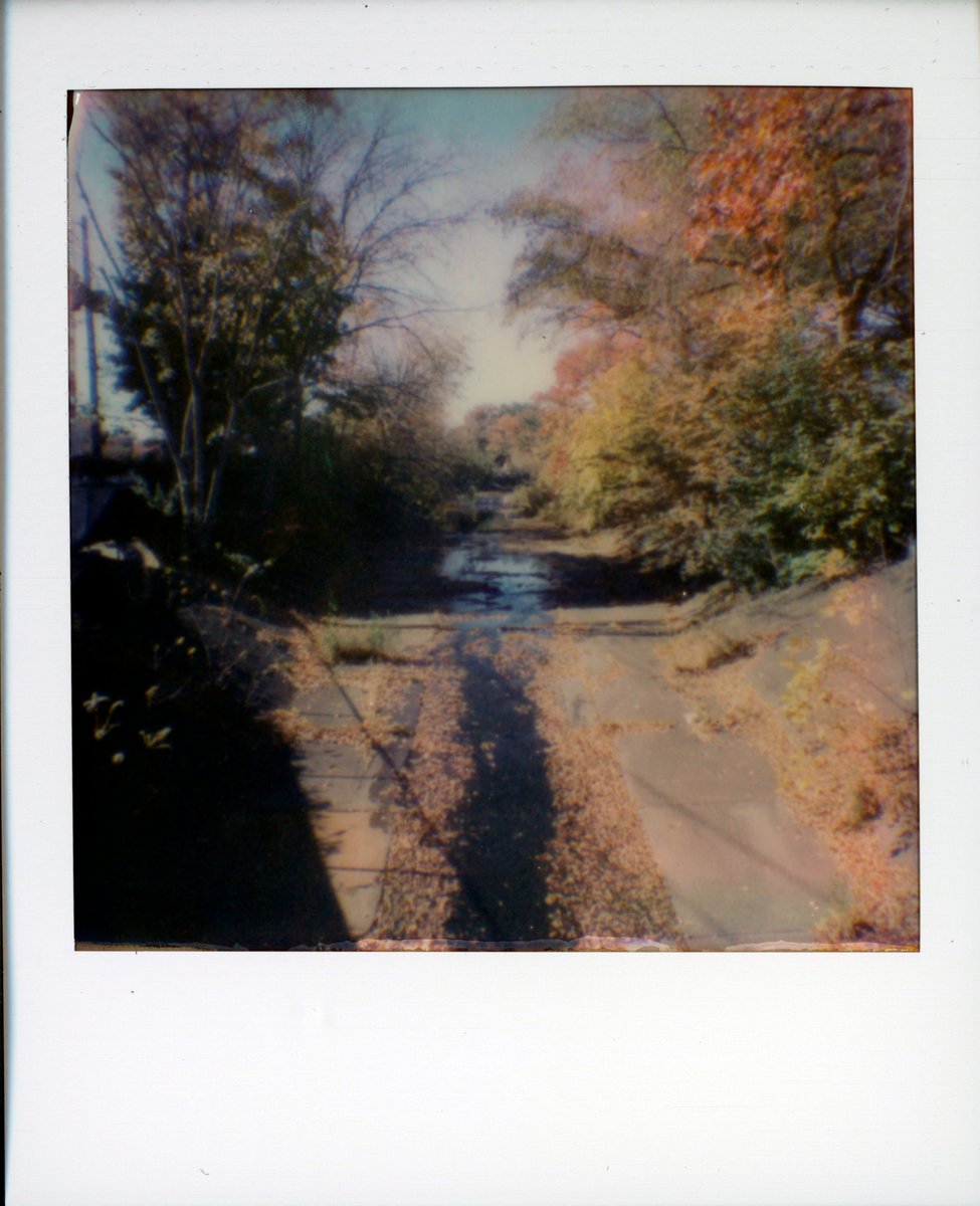 BrianBednarek1's tweet photo. Polaroid Go
Polaroid Week
#Polaroid #instant #PolaroidGo #FilmIsNotDead #polaroidweek https://t.co/0BacosFcMJ