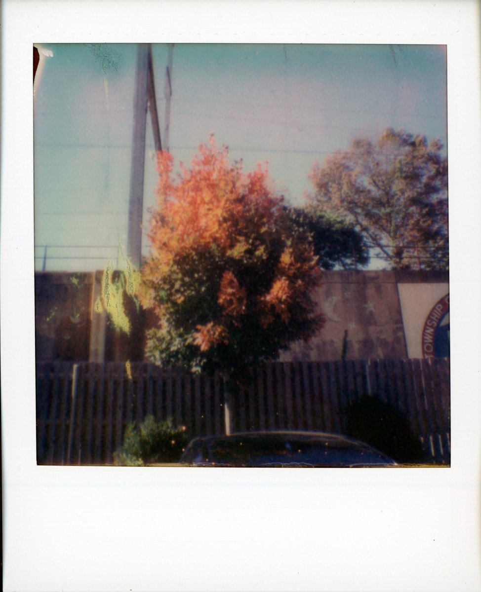 BrianBednarek1's tweet photo. Polaroid Go
Polaroid Week
#Polaroid #instant #PolaroidGo #FilmIsNotDead #polaroidweek https://t.co/0BacosFcMJ