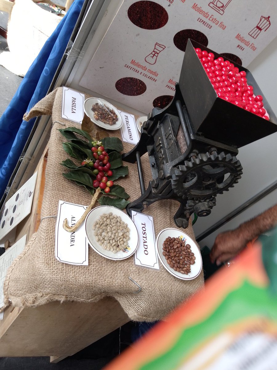 MayaPhoenix_7's tweet photo. ☕  🤎✨❤️ #CoffeShowCali2024 #Chipichape #Colombia https://t.co/cojt0MScjn