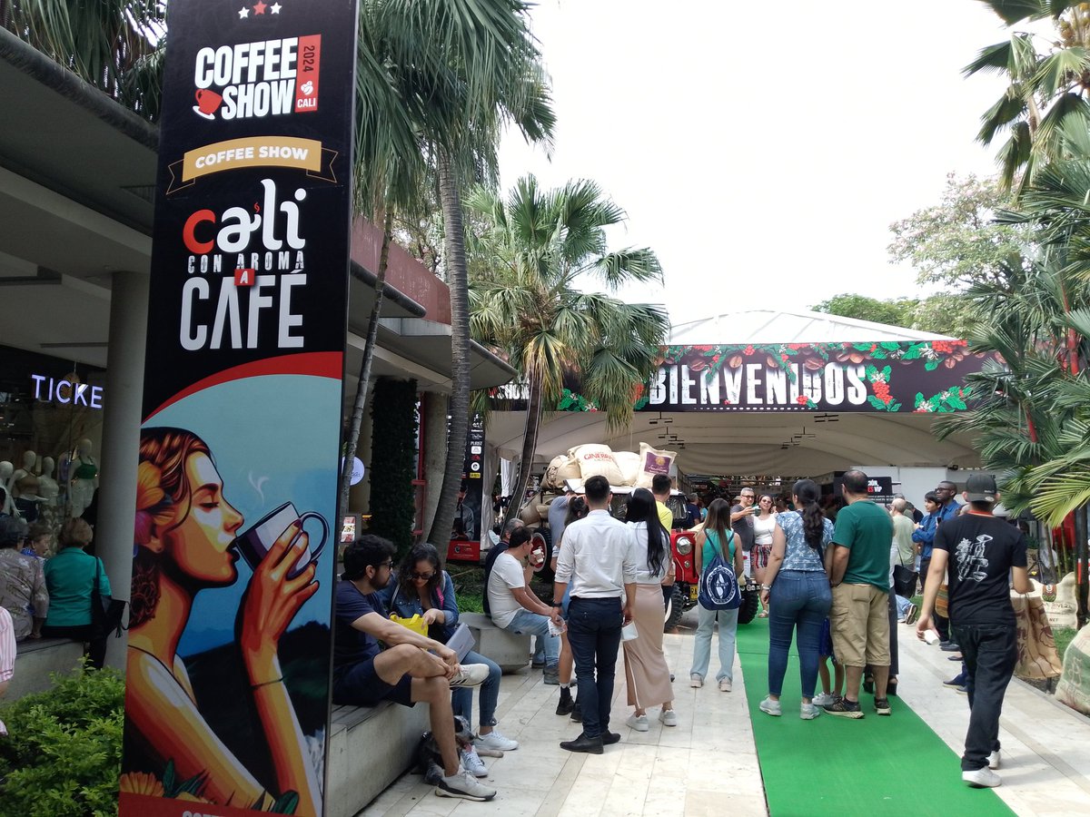 MayaPhoenix_7's tweet photo. ☕  🤎✨❤️ #CoffeShowCali2024 #Chipichape #Colombia https://t.co/cojt0MScjn