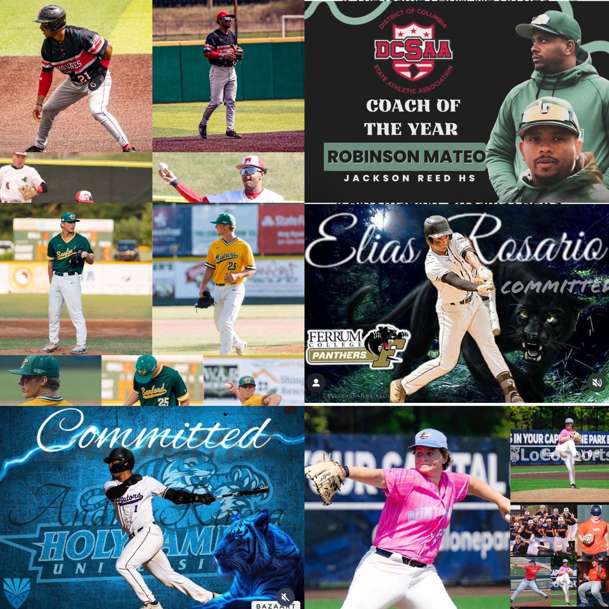 TIGER BASEBALL 🐅 #TigersOnTheMove #TigerRoar #TigerPride💚 #TigerBaseball