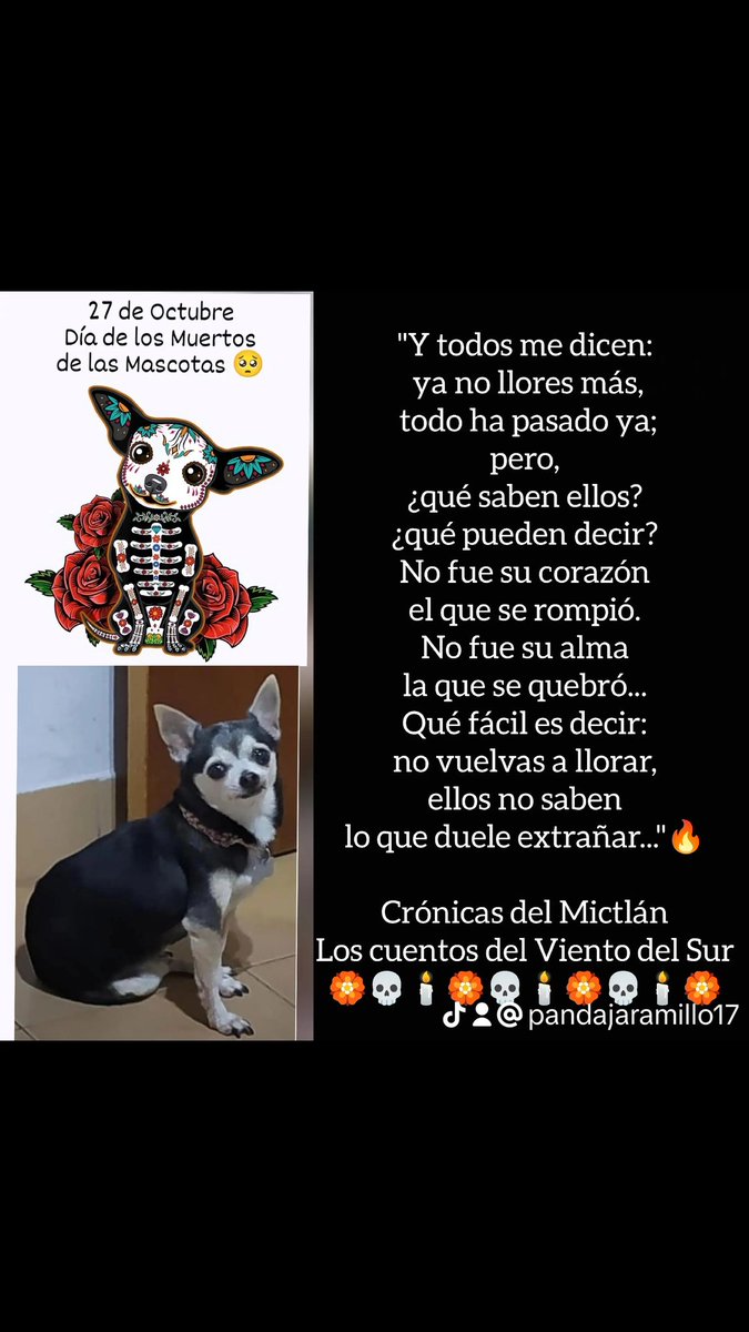 Panda Jaramillo tweet media